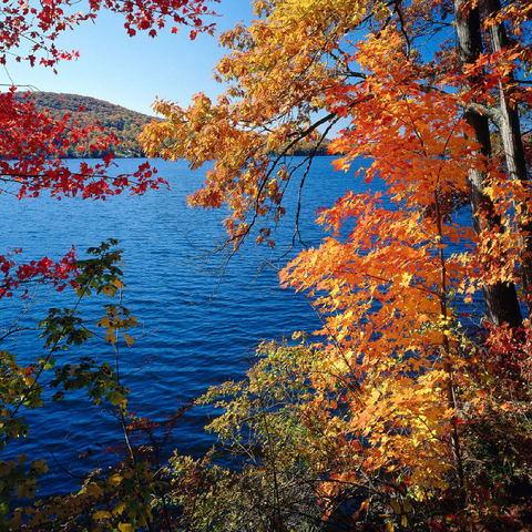 Autumn atmosphere at Lake Waramaug, Connecticut, USA 100 Jigsaw Puzzle 3D Modell