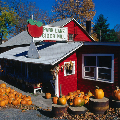 Vegetable store with pumpkins, Connecticut, USA 1000 Jigsaw Puzzle 3D Modell