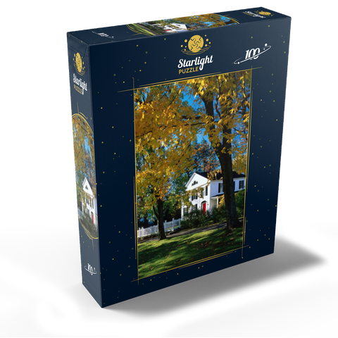 Country house in Litchfield, Connecticut, USA 100 Jigsaw Puzzle box view1