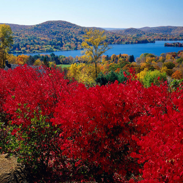 Autumn atmosphere at Lake Waramaug, Connecticut, USA 100 Jigsaw Puzzle 3D Modell
