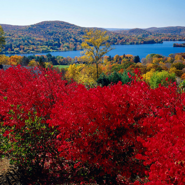 Autumn atmosphere at Lake Waramaug, Connecticut, USA 500 Jigsaw Puzzle 3D Modell