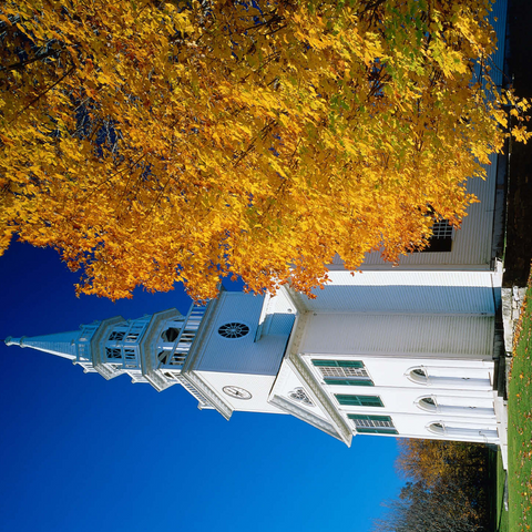 Church with maple tree in Warren, Connecticut, USA 500 Jigsaw Puzzle 3D Modell