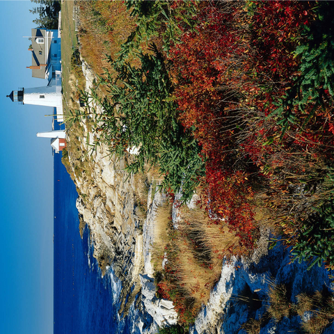 Lighthouse at Pemaquid Point, Maine, USA 1000 Jigsaw Puzzle 3D Modell