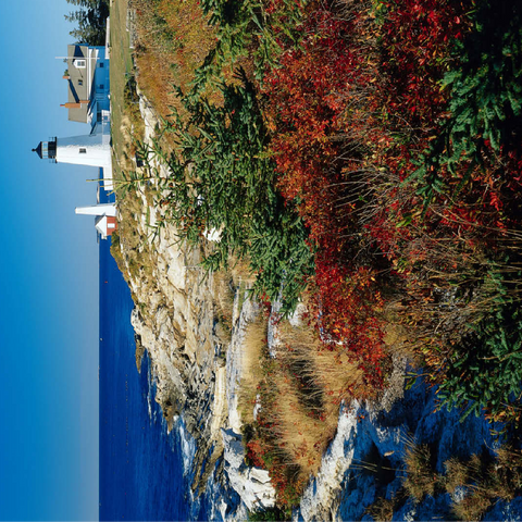 Lighthouse at Pemaquid Point, Maine, USA 100 Jigsaw Puzzle 3D Modell