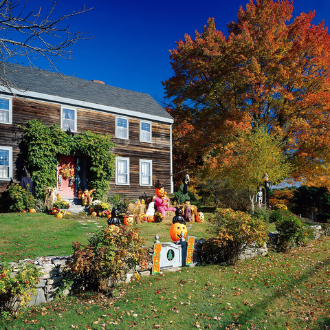 House with Halloween decoration, Maine, USA 1000 Jigsaw Puzzle 3D Modell