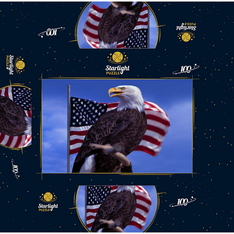 Bald Eagle (Haliaeetus leucocephalus) in front of American Flag, USA 100 Jigsaw Puzzle box 3D Modell