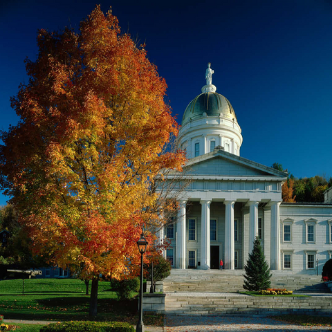 State House, Montpelier, Vermont, USA 100 Jigsaw Puzzle 3D Modell
