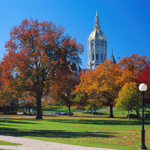 Park with Capitol in Hartford, Connecticut, USA 1000 Jigsaw Puzzle 3D Modell