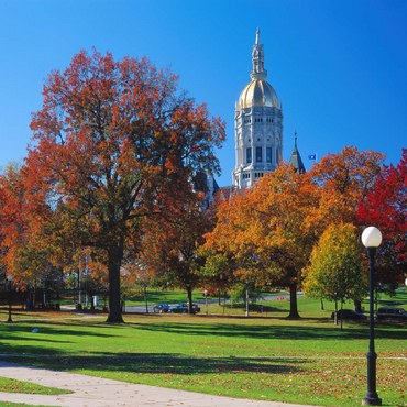 Park with Capitol in Hartford, Connecticut, USA 100 Jigsaw Puzzle 3D Modell