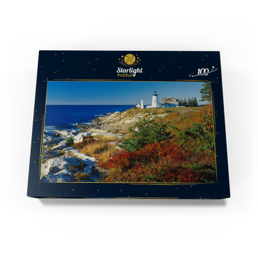 Lighthouse at Pemaquid Point, Maine, USA 100 Jigsaw Puzzle box view1