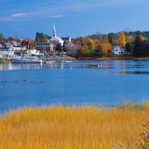 Town overview and marina of Damariscotta, Maine, USA 100 Jigsaw Puzzle 3D Modell