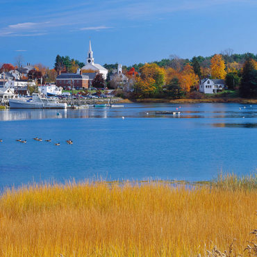 Town overview and marina of Damariscotta, Maine, USA 500 Jigsaw Puzzle 3D Modell