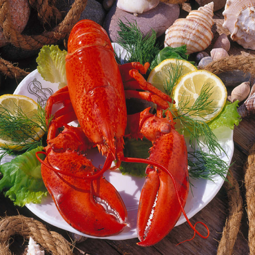 Lobster 100 Jigsaw Puzzle 3D Modell