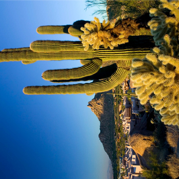 Four Seasons Hotel complex with Pinnacle Peak, Scottsdale, Arizona, USA 1000 Jigsaw Puzzle 3D Modell