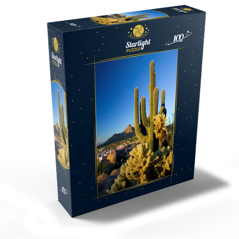 Four Seasons Hotel complex with Pinnacle Peak, Scottsdale, Arizona, USA 100 Jigsaw Puzzle box view1