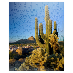 100