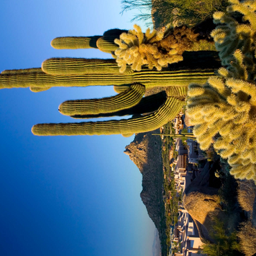 Four Seasons Hotel complex with Pinnacle Peak, Scottsdale, Arizona, USA 500 Jigsaw Puzzle 3D Modell