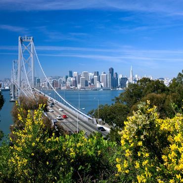 Bay Bridge with skyline, San Francisco, California, USA 1000 Jigsaw Puzzle 3D Modell