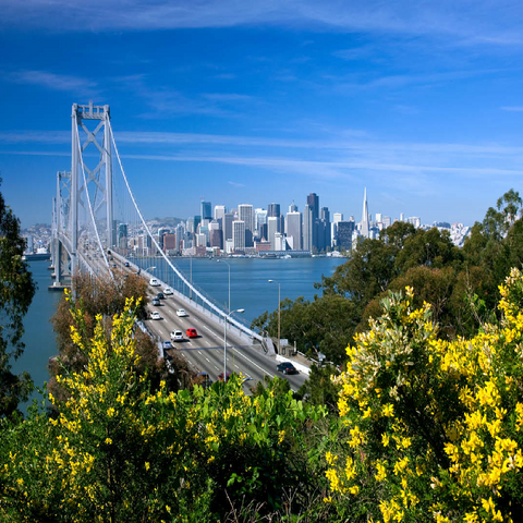 Bay Bridge with skyline, San Francisco, California, USA 100 Jigsaw Puzzle 3D Modell