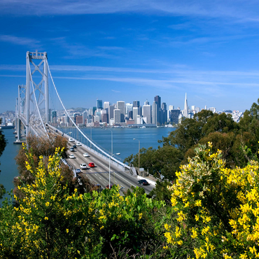 Bay Bridge with skyline, San Francisco, California, USA 500 Jigsaw Puzzle 3D Modell