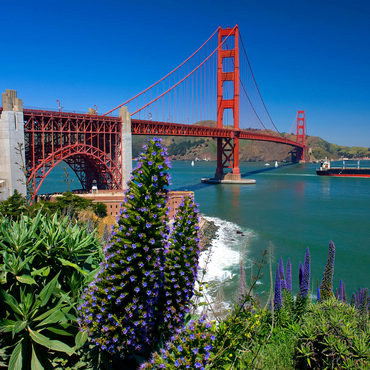 San Francisco Bay with Golden Gate Bridge and Fort Point National Historic Site, San Francisco, California, USA 500 Jigsaw Puzzle 3D Modell