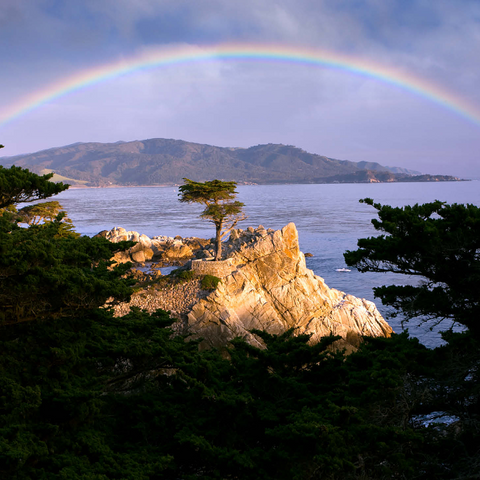 Rainbow over Monterey cypress (Lone Cypress) on the Pacific coast near 1000 Jigsaw Puzzle 3D Modell