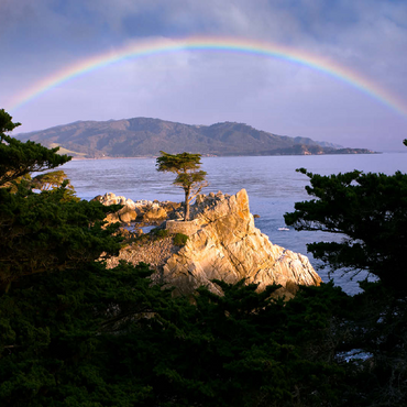 Rainbow over Monterey cypress (Lone Cypress) on the Pacific coast near 100 Jigsaw Puzzle 3D Modell