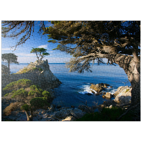 puzzleplate Monterey cypress (Lone Cypress) on the Pacific coast near 1000 Jigsaw Puzzle