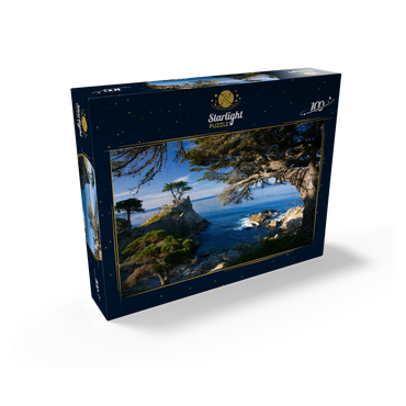 Monterey cypress (Lone Cypress) on the Pacific coast near 100 Jigsaw Puzzle box view1