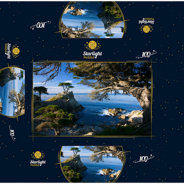 Monterey cypress (Lone Cypress) on the Pacific coast near 100 Jigsaw Puzzle box 3D Modell