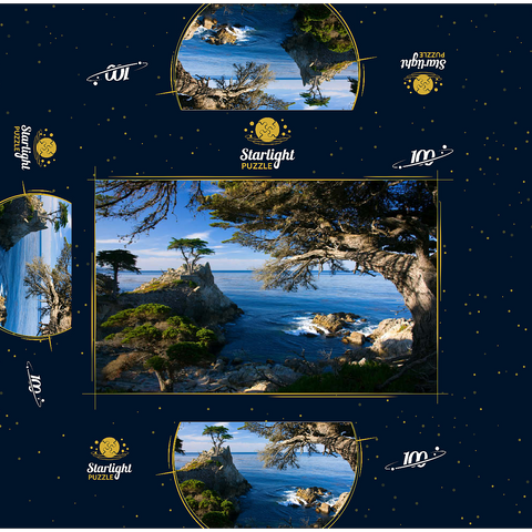 Monterey cypress (Lone Cypress) on the Pacific coast near 100 Jigsaw Puzzle box 3D Modell