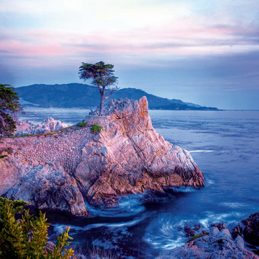 Lonely Cypress, Monterey cypress tree on Pacific coast near Carmel 100 Jigsaw Puzzle 3D Modell