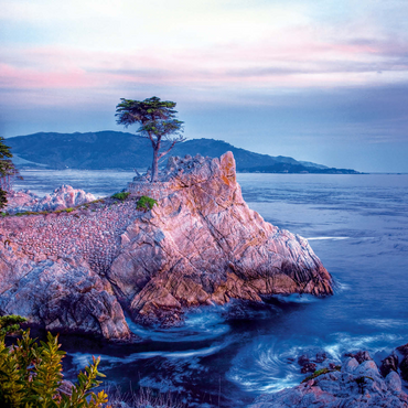 Lonely Cypress, Monterey cypress tree on Pacific coast near Carmel 500 Jigsaw Puzzle 3D Modell