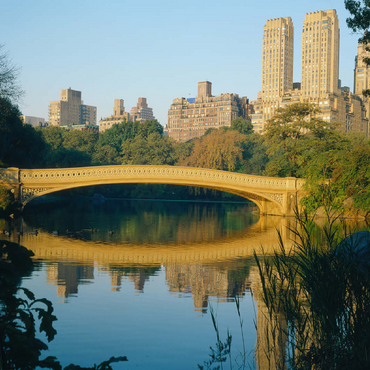 Lake in Central Park, Uptown Manhattan, New York City, New York, USA 100 Jigsaw Puzzle 3D Modell
