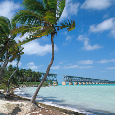 Flagler's Railroad Bridge, Bahia Honda Key, Florida Keys, Florida, USA 1000 Jigsaw Puzzle 3D Modell