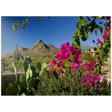puzzleplate Bougainvillea with Pinnacle Peak, Scottsdale, Arizona, USA 1000 Jigsaw Puzzle