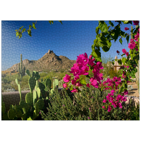 puzzleplate Bougainvillea with Pinnacle Peak, Scottsdale, Arizona, USA 1000 Jigsaw Puzzle