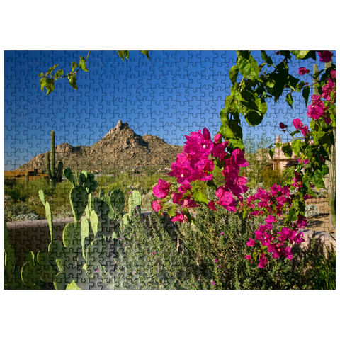 puzzleplate Bougainvillea with Pinnacle Peak, Scottsdale, Arizona, USA 500 Jigsaw Puzzle