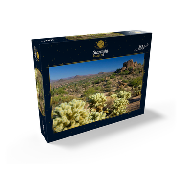 View from Pinnacle Peak, Scottsdale, Arizona, USA 100 Jigsaw Puzzle box view1