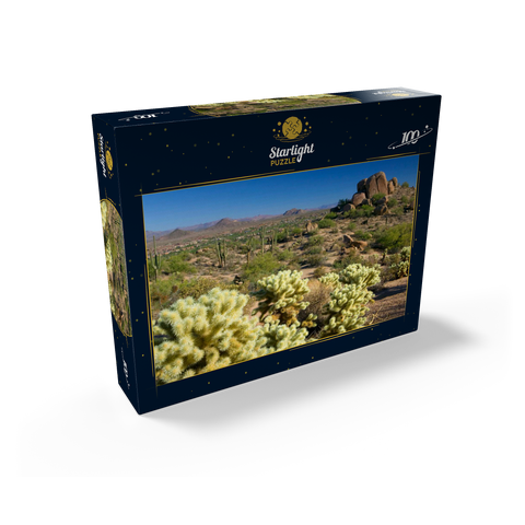 View from Pinnacle Peak, Scottsdale, Arizona, USA 100 Jigsaw Puzzle box view1
