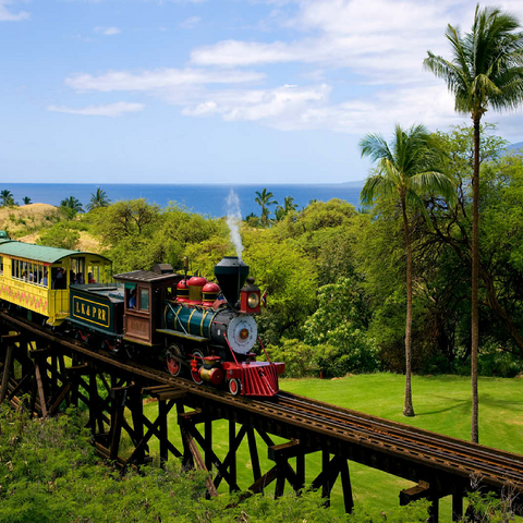 Sugar Cane Train near Ka'anapali, Maui Island, Hawaii, USA 100 Jigsaw Puzzle 3D Modell