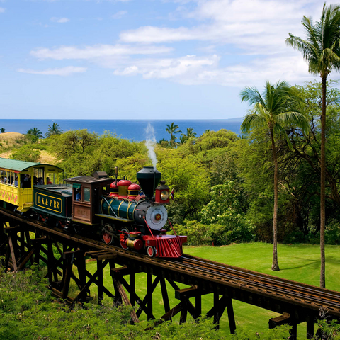 Sugar Cane Train near Ka'anapali, Maui Island, Hawaii, USA 500 Jigsaw Puzzle 3D Modell