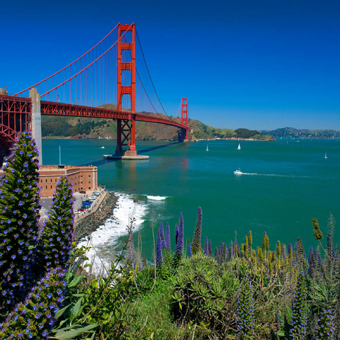 San Francisco Bay with Golden Gate Bridge and Fort Point National Historic Site, San Francisco, California, USA 100 Jigsaw Puzzle 3D Modell