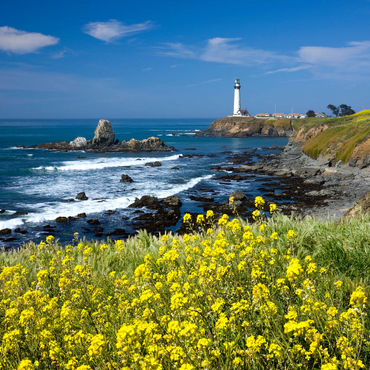 Lighthouse at Pigeon Point south of San Francisco, Highway One, California, USA 1000 Jigsaw Puzzle 3D Modell