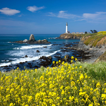 Lighthouse at Pigeon Point south of San Francisco, Highway One, California, USA 100 Jigsaw Puzzle 3D Modell