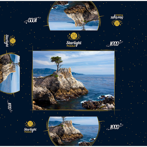 Monterey cypress (Lone Cypress) on the Pacific coast near 1000 Jigsaw Puzzle box 3D Modell