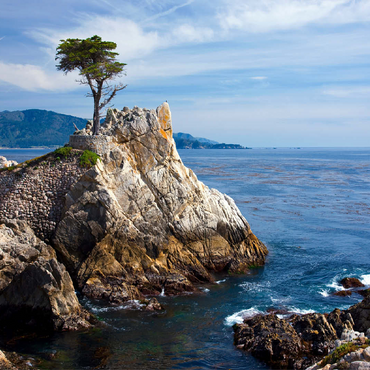 Monterey cypress (Lone Cypress) on the Pacific coast near 100 Jigsaw Puzzle 3D Modell