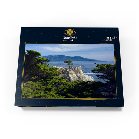 Monterey cypress (Lone Cypress) on the Pacific coast near 100 Jigsaw Puzzle box view1