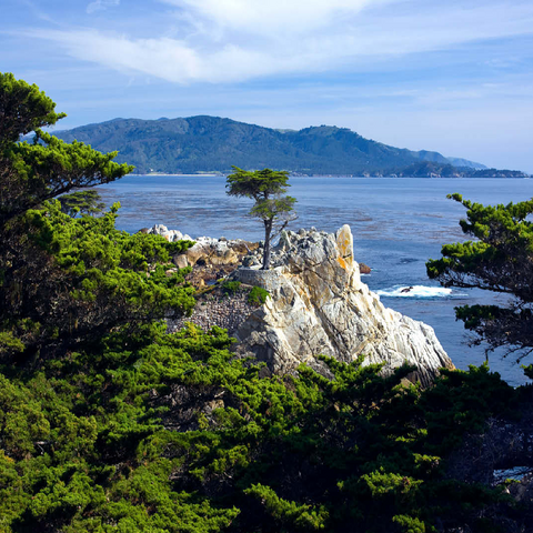 Monterey cypress (Lone Cypress) on the Pacific coast near 100 Jigsaw Puzzle 3D Modell