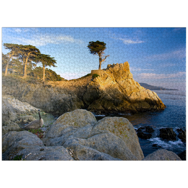 puzzleplate Monterey cypress (Lone Cypress) on the Pacific coast near 1000 Jigsaw Puzzle